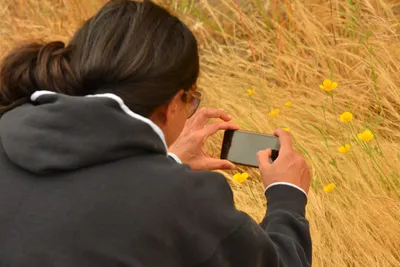 DSC_6515 (Large).JPG